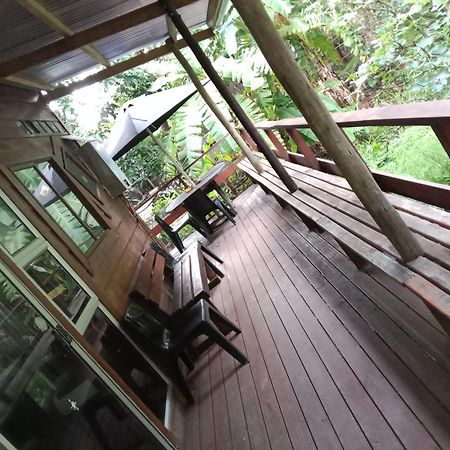 Yellowwood Forest Eco Retreat Morgans Bay Dış mekan fotoğraf