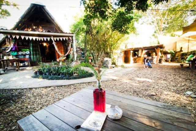 Yellowwood Forest Eco Retreat Morgans Bay Dış mekan fotoğraf