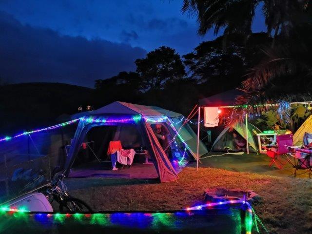 Yellowwood Forest Eco Retreat Morgans Bay Dış mekan fotoğraf