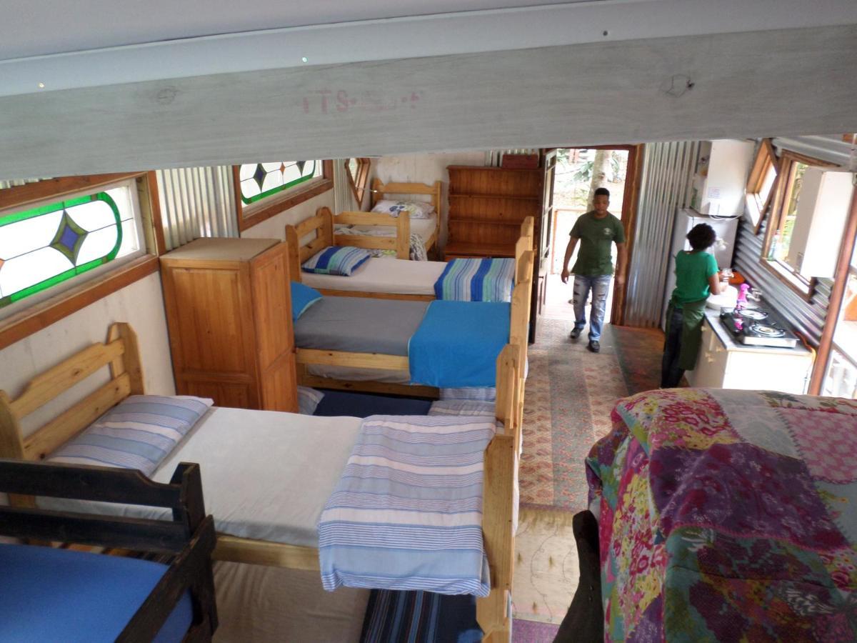 Yellowwood Forest Eco Retreat Morgans Bay Dış mekan fotoğraf