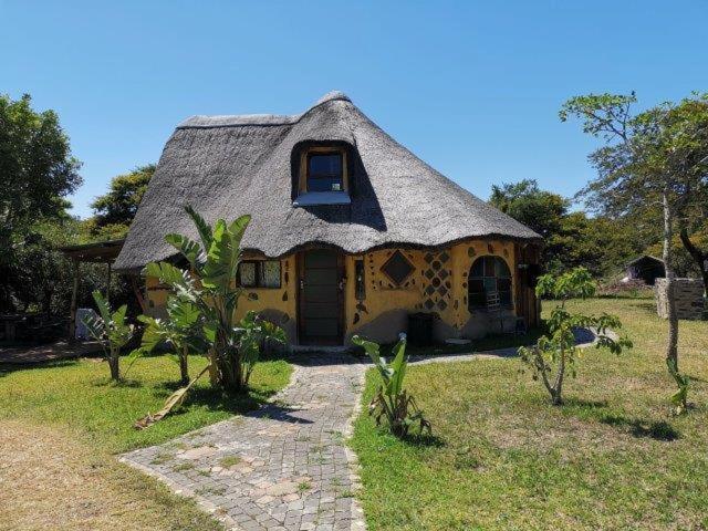 Yellowwood Forest Eco Retreat Morgans Bay Dış mekan fotoğraf