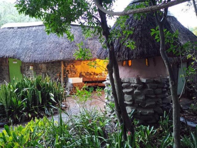 Yellowwood Forest Eco Retreat Morgans Bay Dış mekan fotoğraf