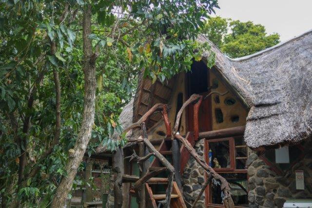Yellowwood Forest Eco Retreat Morgans Bay Dış mekan fotoğraf